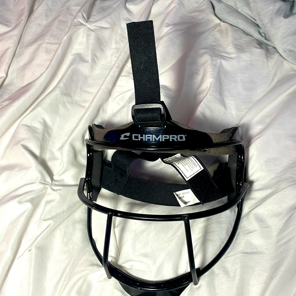 Softball infield face mask